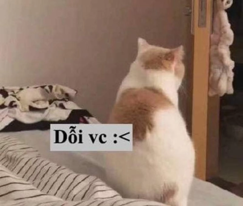 ảnh meme dỗi 1