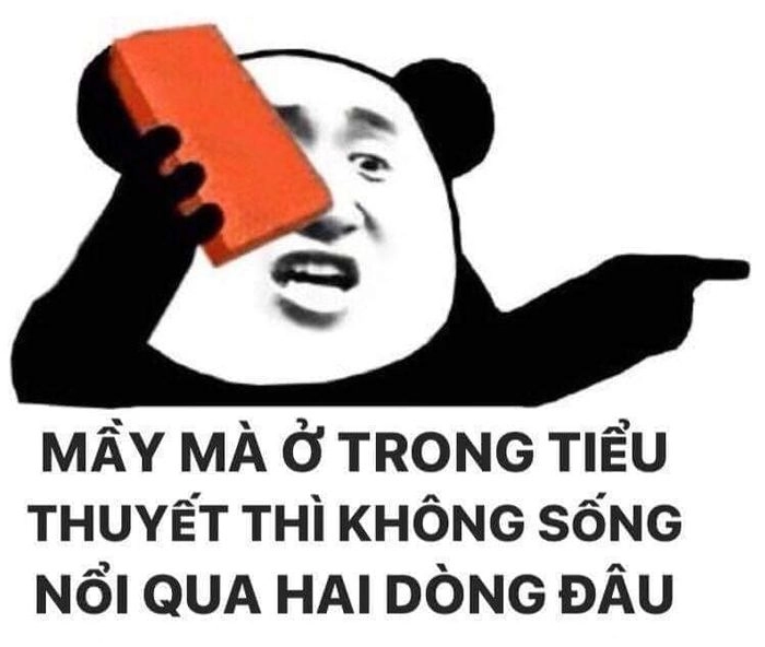 ảnh meme gấu 7