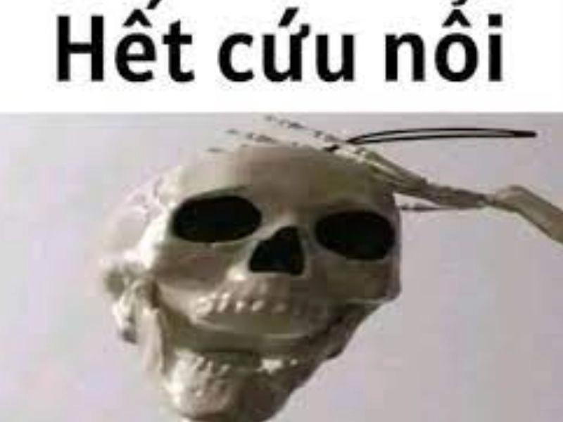 Ảnh meme hết cứu 15