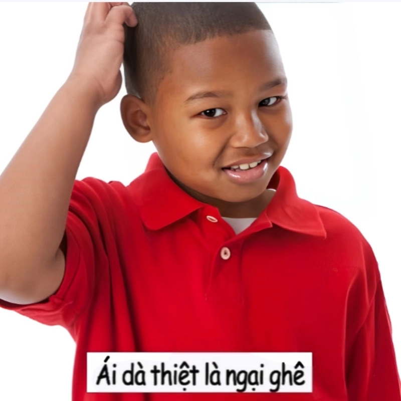 ảnh meme ngại 7