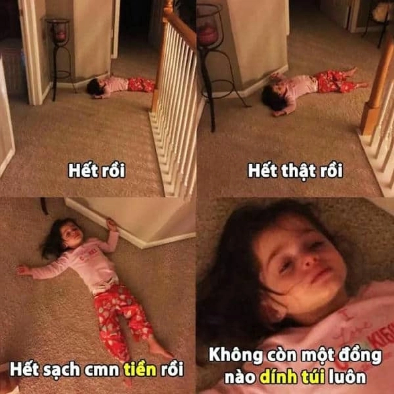 Meme tiền 31