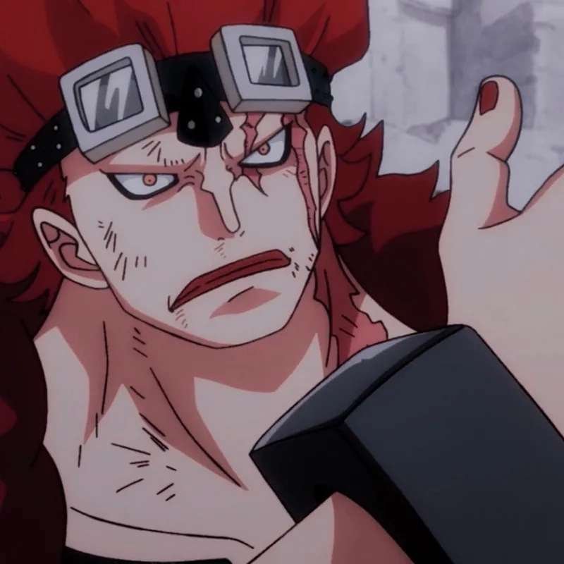 Eustass Kid 14