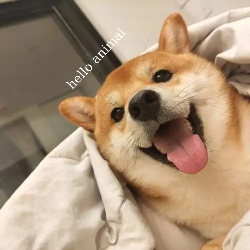 101 biểu cảm meme 27