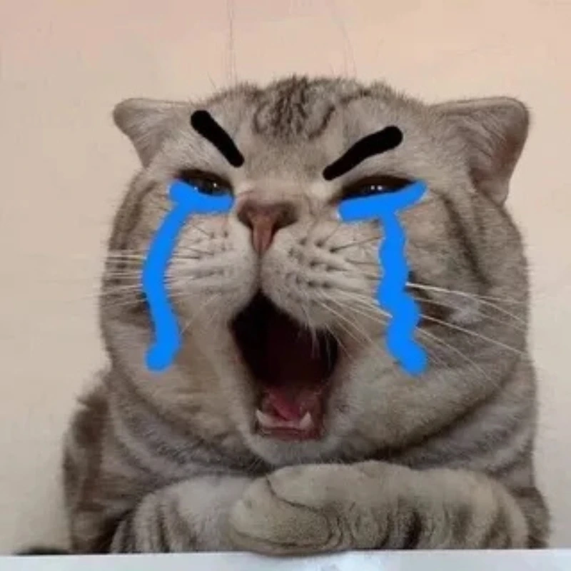 meme ảnh cute 28