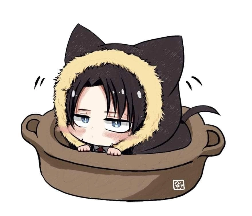 Ảnh Levi chibi 14