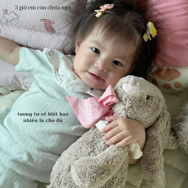 meme ngủ 19