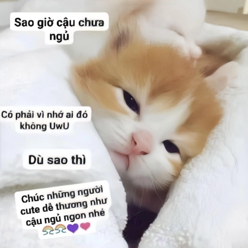meme chúc ngủ ngon 10