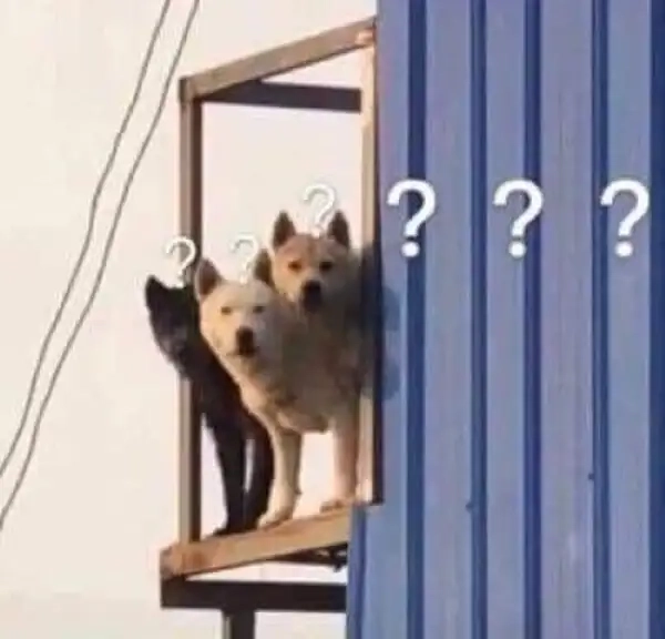 ảnh meme hỏi chấm 8