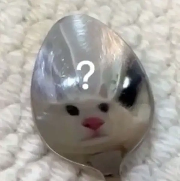 ảnh meme hỏi chấm 9