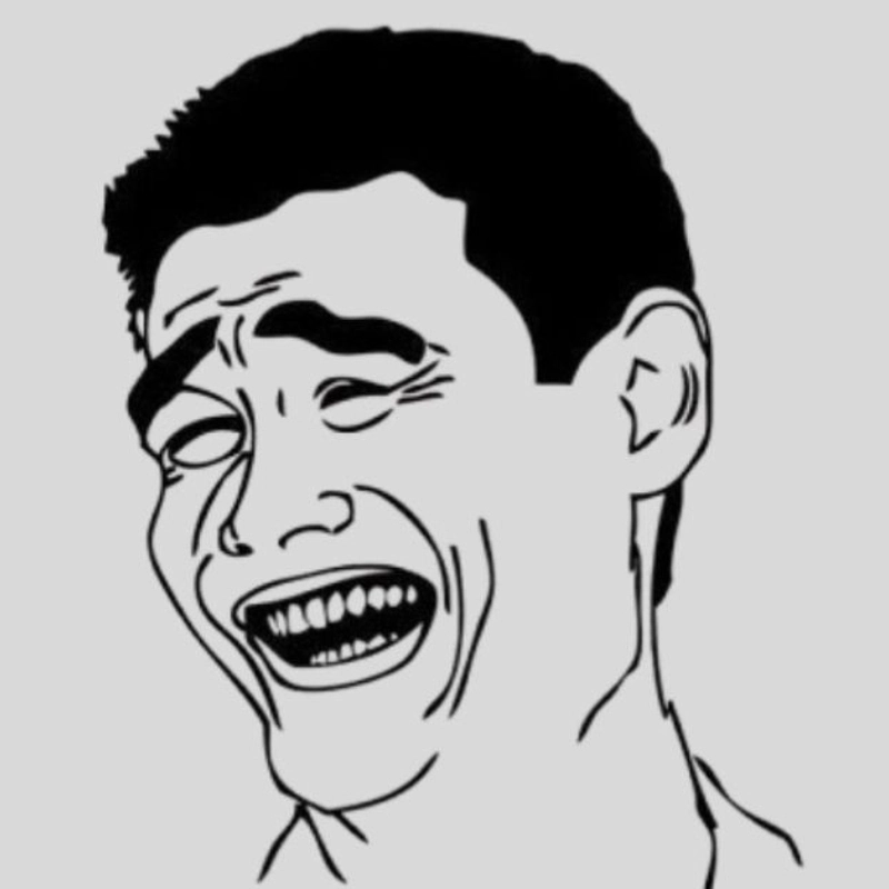 ảnh meme Không 12