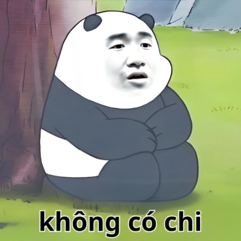 ảnh meme Không 5