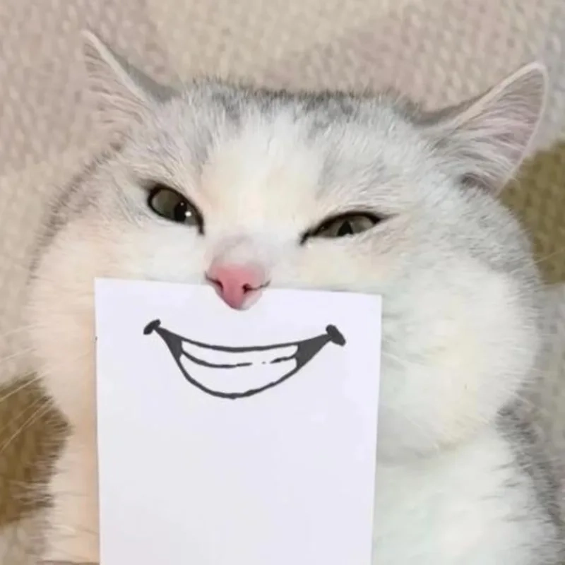 ảnh chế meme mèo bựa 8