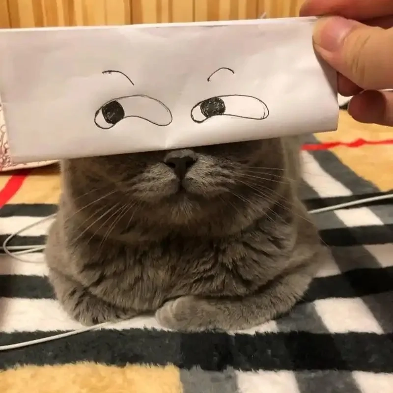 ảnh chế meme mèo bựa 34