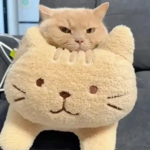 119+ ảnh chế meme mèo bựa cực hài hước, cười thả ga không nhặt được mồm