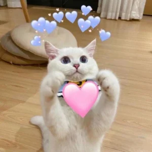 119+ Meme Thả Tim Cực Xinh, Cực Yêu Đốn Gục Trái Tim Bạn