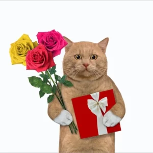 119+ Meme Mèo Tặng Hoa: Khoảnh Khắc Ngọt Ngào Đốn Tim Bạn