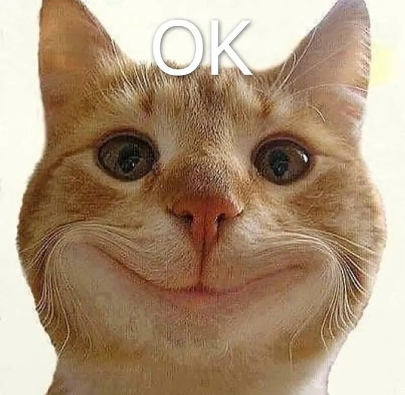 Ảnh meme ok 6